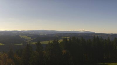 Webcam Brend Furtwangen im Schwarzwald Live