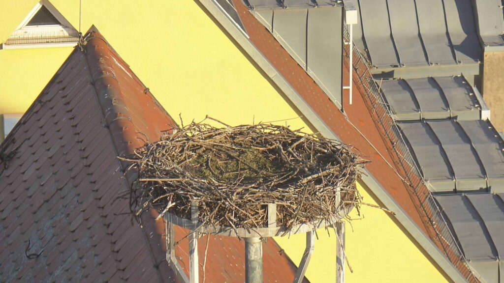 Webcam Storchennest Crailsheim Live
