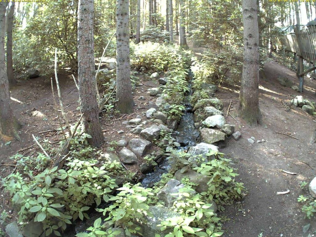 Tierpark Güstrow Wildpark Mv Webcam Live