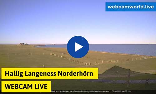 Webcam Hallig Langeness Norderhörn Live