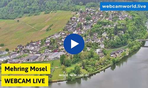 Mehring Mosel Webcam Aktuell Live