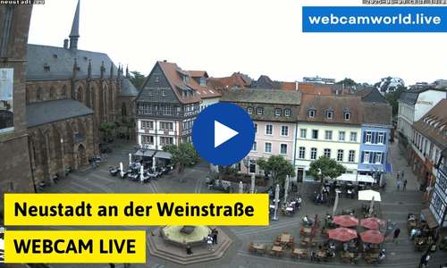 Neustadt an der Weinstraße Webcam Aktuell Live